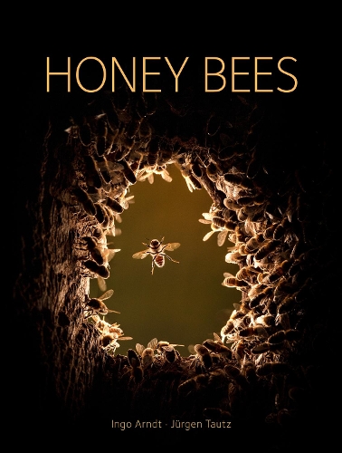 Бумажная книга «Honey Bees », автор Юрген Таутц - фото №1
