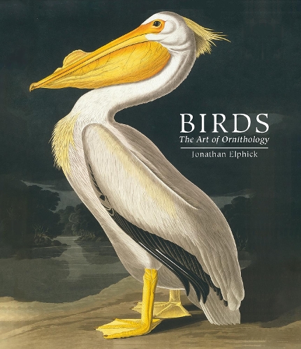 Бумажная книга «Birds: The Art of Ornithology (Pocket edition)», автор Джонатан Элфик - фото №1