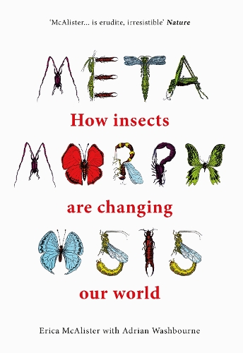 [object Object] «Metamorphosis: How insects are changing our world», авторов Адриан Уошборн, Эрика Макалистер - фото №1