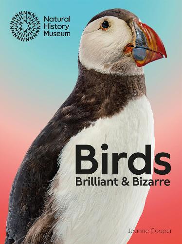 Бумажная книга «Birds: Brilliant & Bizarre», автор Джоанна Купер - фото №1