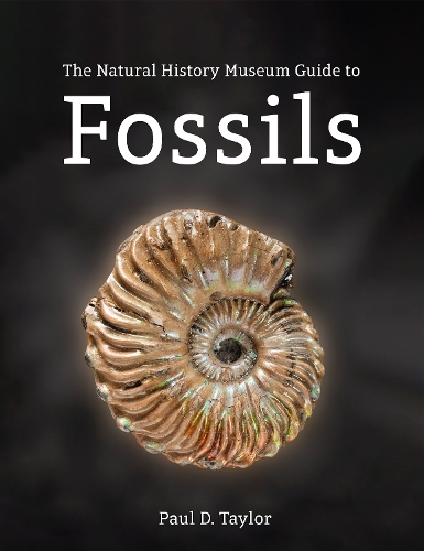 [object Object] «Fossils: The essential guide», автор Пол Д. Тейлор - фото №1