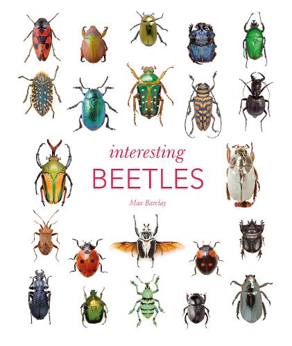 Бумажная книга «Interesting Beetles», автор Макс Барклай - фото №1