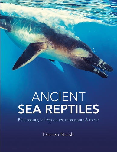 Бумажная книга «Ancient Sea Reptiles: Plesiosaurs, ichthyosaurs, mosasaurs and more», автор Даррен Нэйш - фото №1