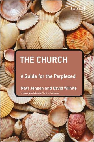 Паперова книга «The Church: A Guide for the Perplexed», авторів Девід Е. Вілхайт, Метт Дженсон - фото №1