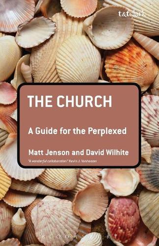 Бумажная книга «The Church: A Guide for the Perplexed», авторов Дэвид Э. Уилхайт, Мэтт Дженсон - фото №1