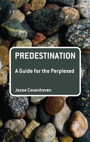 Бумажная книга «Predestination: A Guide for the Perplexed», автор Джесси Коуэнховен - фото №1