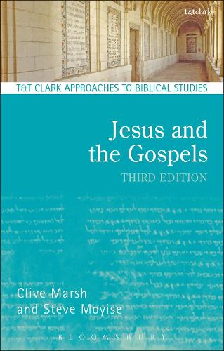 Бумажная книга «Jesus and the Gospels», автор Стив Мойиз - фото №1