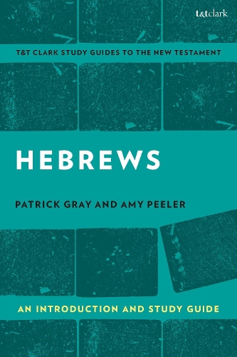 Бумажная книга «Hebrews: An Introduction and Study Guide» - фото №1