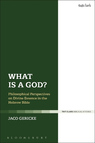 Паперова книга «What is a God?: Philosophical Perspectives on Divine Essence in the Hebrew Bible», автор Жако Геріке - фото №1