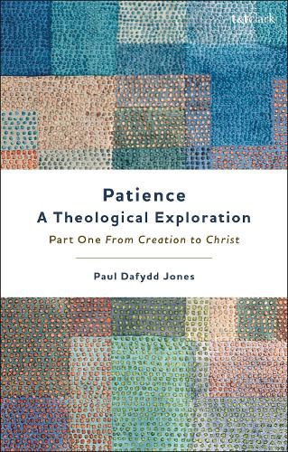 Бумажная книга «Patience—A Theological Exploration: Part One, from Creation to Christ», автор Пол Дафидд Джонс - фото №1