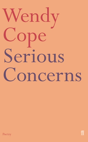 Паперова книга «Serious Concerns», автор Венді Коуп - фото №1