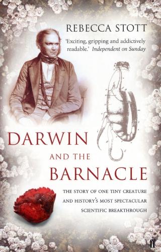 Паперова книга «Darwin and the Barnacle», автор Ребекка Стотт - фото №1