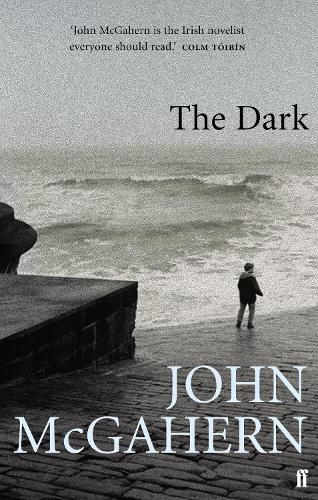 Паперова книга «The Dark», автор Джон МакГаерн - фото №1