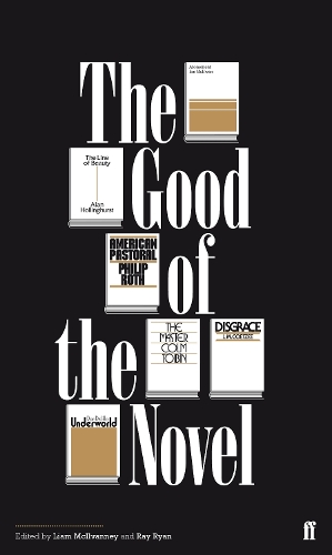 Бумажная книга «The Good of the Novel», авторов Лиам Макилванни, Рэй Райан - фото №1