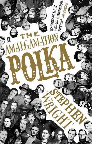 Бумажная книга «The Amalgamation Polka», автор Стивен Райт - фото №1