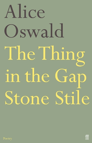 Бумажная книга «The Thing in the Gap Stone Stile», автор Элис Освальд - фото №1