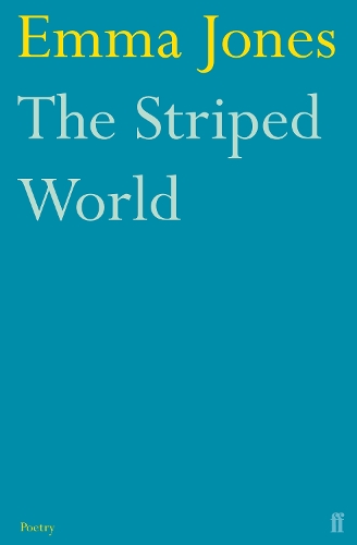 Бумажная книга «The Striped World», автор Эмма Джонс - фото №1