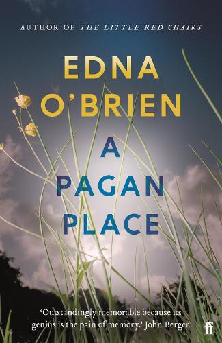 Паперова книга «A Pagan Place», автор Една О'Брайен - фото №1