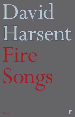 Бумажная книга «Fire Songs», автор Дэвид Харсент - фото №1