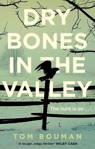 Бумажная книга «Dry Bones in the Valley», автор Том Боуман - фото №1