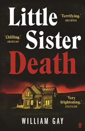 Бумажная книга «Little Sister Death», автор Уильям Гэй - фото №1