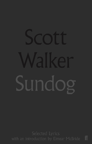 Бумажная книга «Sundog», автор Скотт Уокер - фото №1
