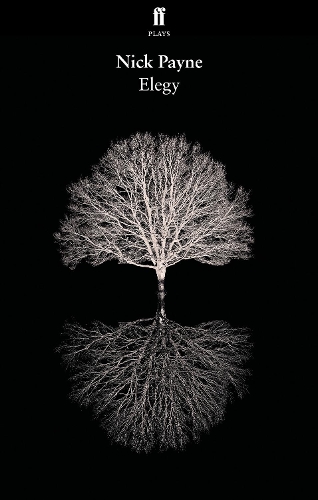 Бумажная книга «Elegy», автор Ник Пэйн - фото №1