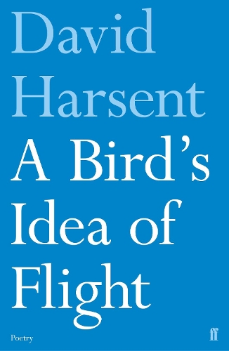 Бумажная книга «A Bird's Idea of Flight», автор Дэвид Харсент - фото №1