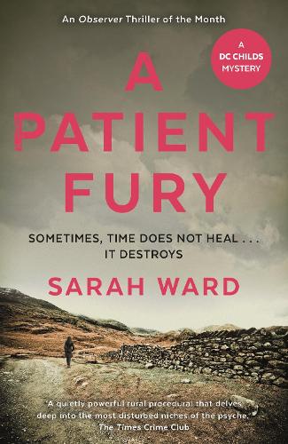Бумажная книга «A Patient Fury», автор Сара Уорд - фото №1