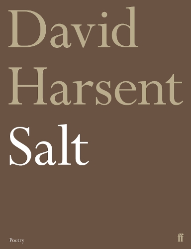 Бумажная книга «Salt», автор Дэвид Харсент - фото №1