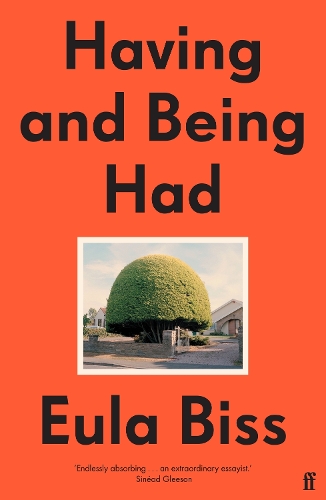 Паперова книга «Having and Being Had», автор Еула Бісс - фото №1