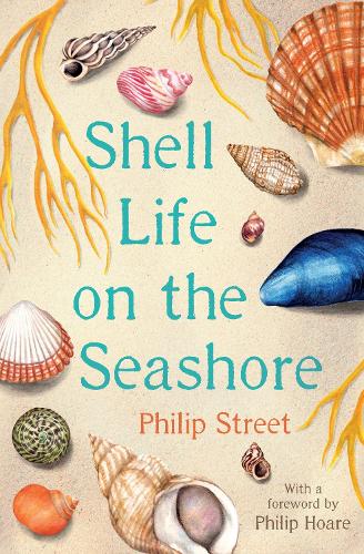Бумажная книга «Shell Life on the Seashore», автор Филип Стрит - фото №1