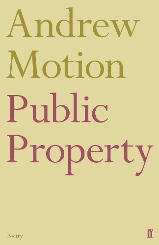 Бумажная книга «Public Property», автор Эндрю Моушен - фото №1