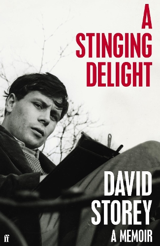 Паперова книга «A Stinging Delight: A Memoir», автор Девід Сторі - фото №1