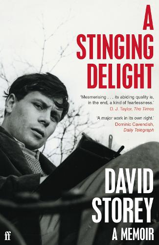 Бумажная книга «A Stinging Delight: A Memoir», автор Дэвид Стори - фото №1