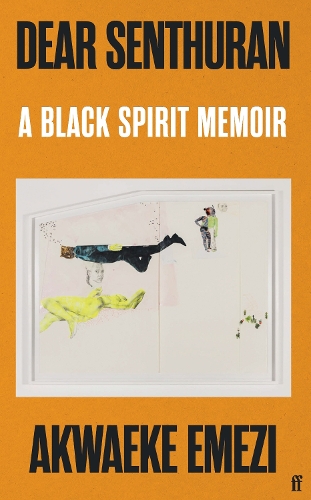 Бумажная книга «Dear Senthuran: A Black spirit memoir», автор Акваеке Эмези - фото №1