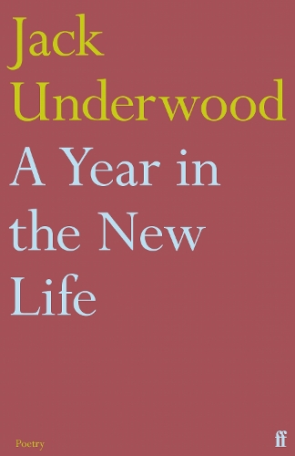 Бумажная книга «A Year in the New Life», автор Джек Андервуд - фото №1
