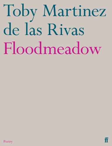 Бумажная книга «Floodmeadow», автор Тоби Мартинес де лас Ривас - фото №1