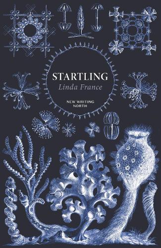 Бумажная книга «Startling», автор Линда Франс - фото №1