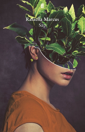 Бумажная книга «Sap», автор Рафаэлла Маркус - фото №1