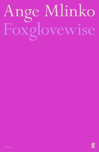 Бумажная книга «Foxglovewise», автор Анже Млинко - фото №1