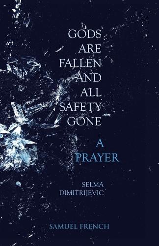 Бумажная книга «Gods Are Fallen And All Safety Gone and A Prayer», автор Сельма Димитриевич - фото №1