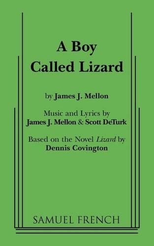 Паперова книга «A Boy Called Lizard», авторів Джеймс Дж. Меллон, Скотт Детурк - фото №1