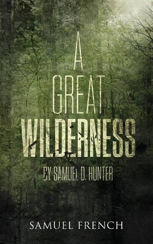 Паперова книга «A Great Wilderness», автор Семюел Д. Хантер - фото №1