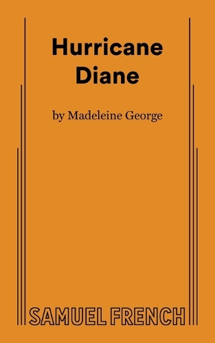 Паперова книга «Hurricane Diane», автор Мадлен Джордж - фото №1