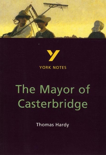 Паперова книга «The Mayor of Casterbridge», автор Мері Сьюелл - фото №1
