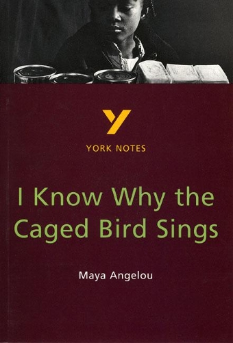 [object Object] «I Know Why the Caged Bird Sings everything you need to catch up, study and prepare for and 2023 and 2024 exams and assessments», автор Імельда Пілгрім - фото №1