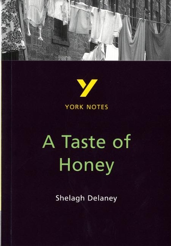 Бумажная книга «A Taste of Honey everything you need to catch up, study and prepare for and 2023 and 2024 exams and assessments», автор Бернадетт Дайер - фото №1