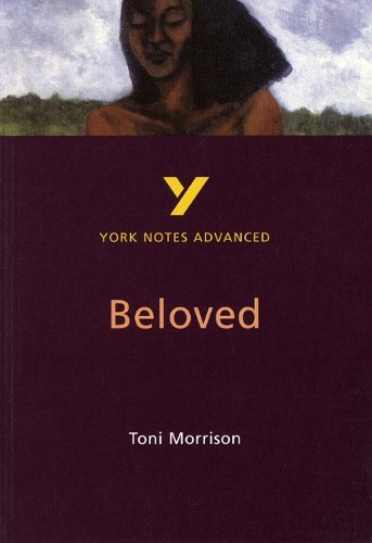 [object Object] «Toni Morrison 'Beloved': everything you need to catch up, study and prepare for 2025 assessments and 2026 exams», автор Лора Грэй - фото №1