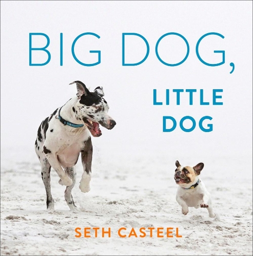 Паперова книга «Big Dog, Little Dog», автор Сет Кастель - фото №1